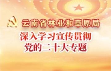 深入學習宣傳貫徹黨的二十大專題